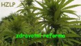 /album/fotogalerie/hzlp-zdravotni-reforma-jpg/
